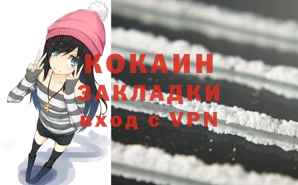 индика Абаза