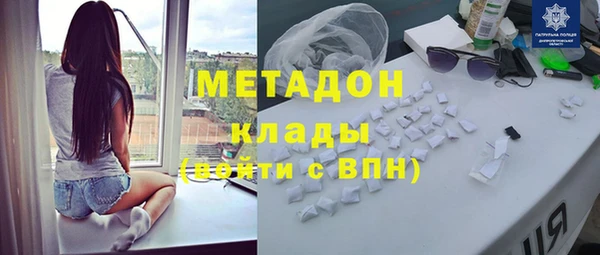 индика Абаза