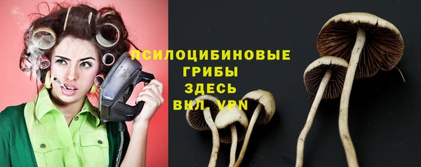 индика Абаза