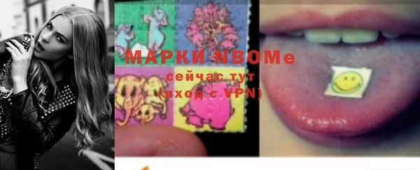 индика Абаза