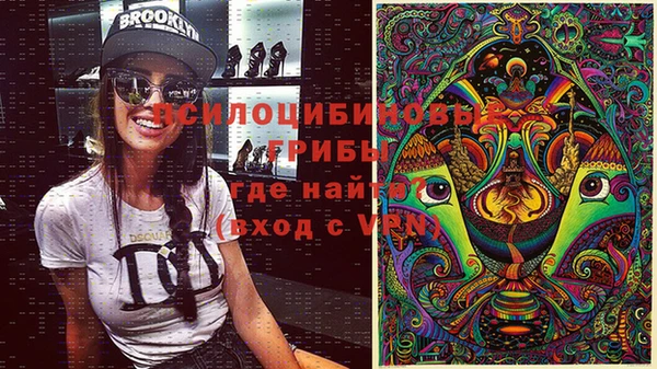 индика Абаза