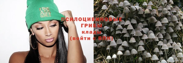 индика Абаза
