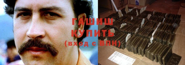 индика Абаза